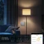 BSEED Smart Zigbee Lichtschalter – Echo Click