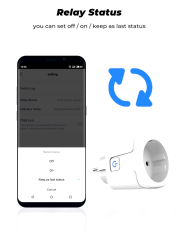 Tuya Zigbee Smart Plug