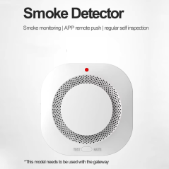 Rilevatore di Fumo Intelligente