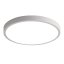 Tuya Zigbee 24W Inteligentna Lampa sufitowa LED