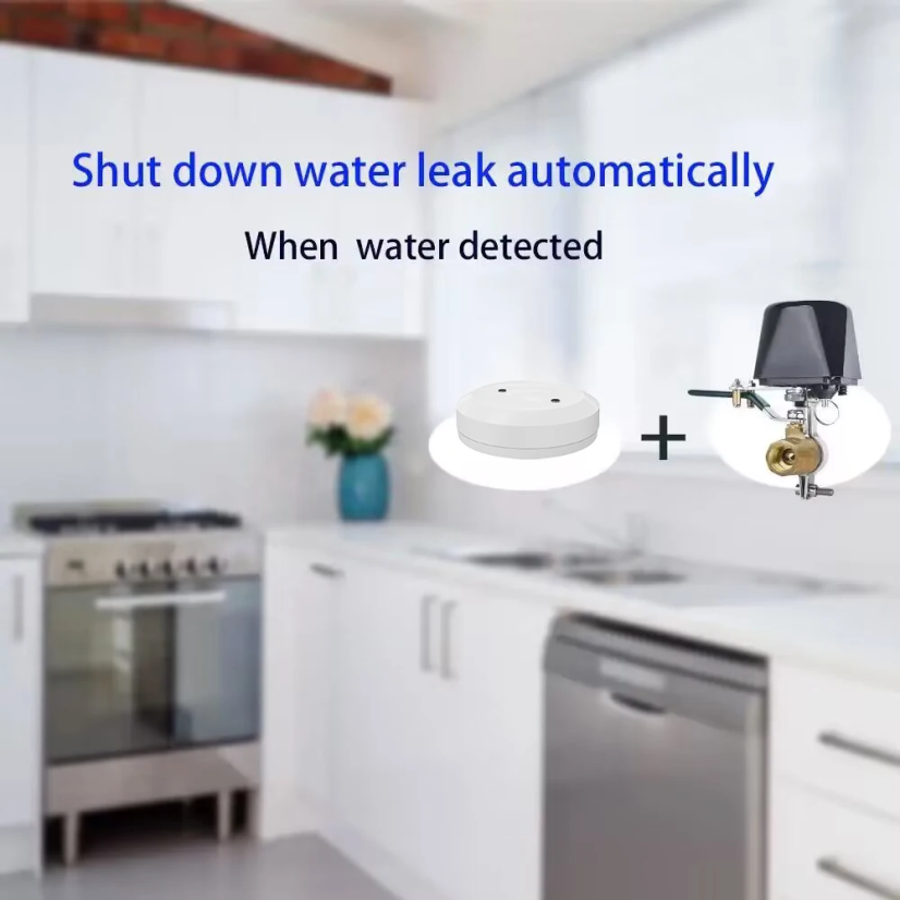 Zigbee Wasserventil