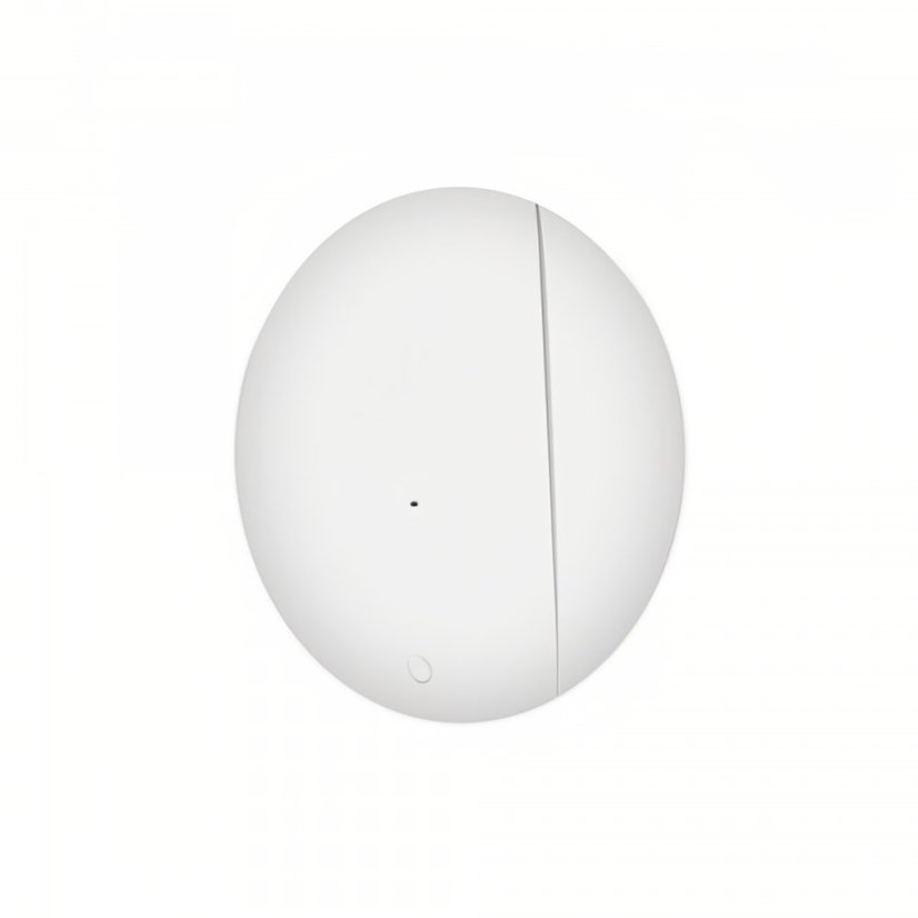 RSH Tuya ZigBee Rilevatore Intelligente per Finestre