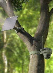 Reolink Go Ranger PT + Solar Panel 2