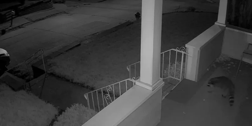 Reolink RLC-520A – night footage