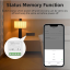 Smart Switch Zigbee-Modul – 2 Kanäle
